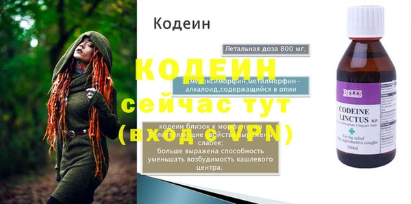 хмурый Лиски
