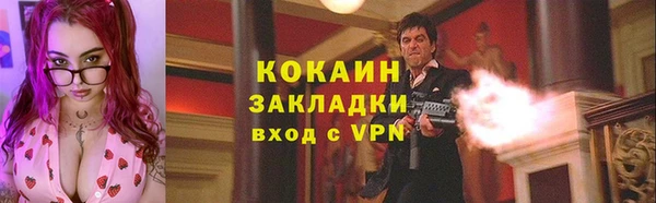 хмурый Лиски