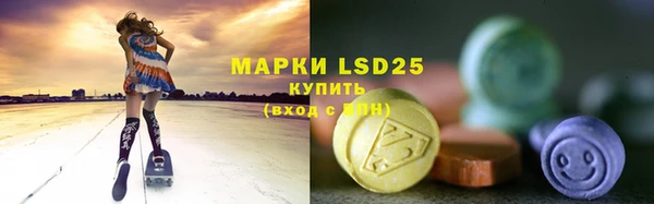 хмурый Лиски