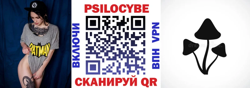 kraken   купить  сайты  Суздаль  Галлюциногенные грибы Magic Shrooms 