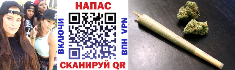 Бошки Шишки Amnesia Суздаль